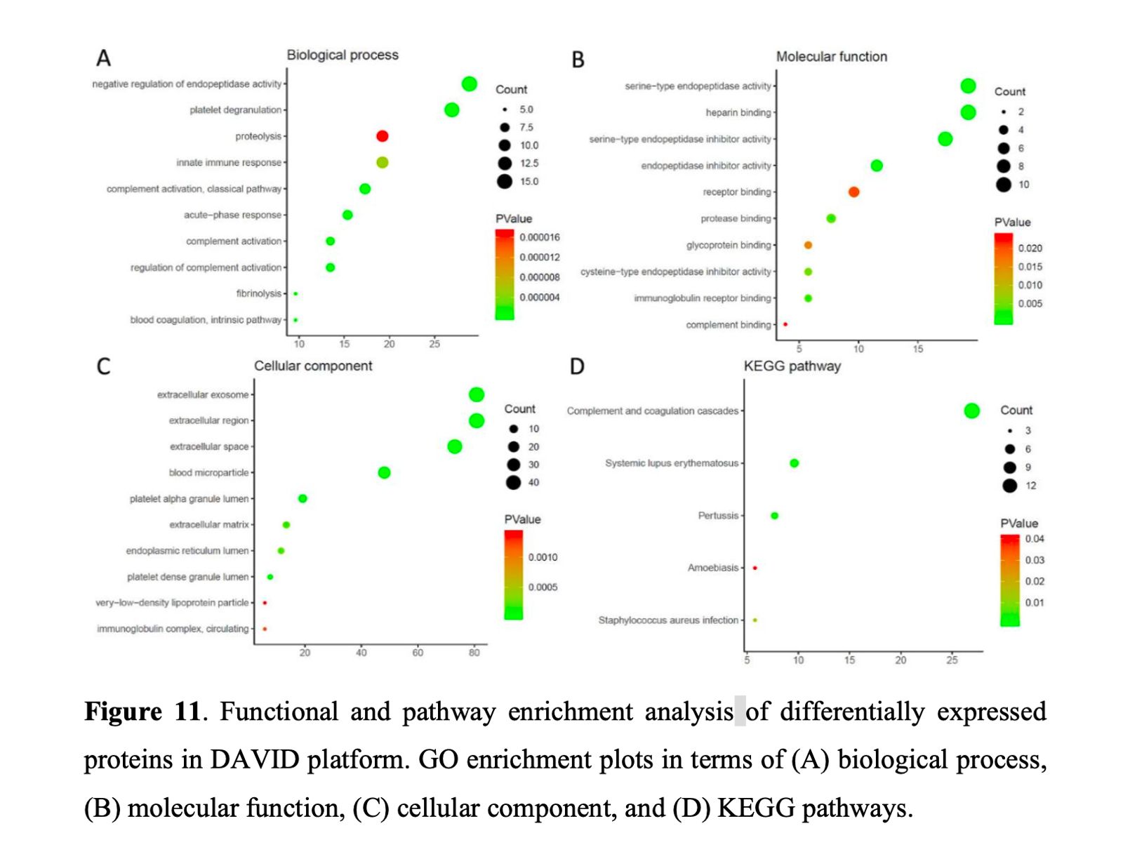 Functional and pathway enrichment analysis of differentially expressed proteins across biological process, molecular function, cellular component, and KEGG pathways.