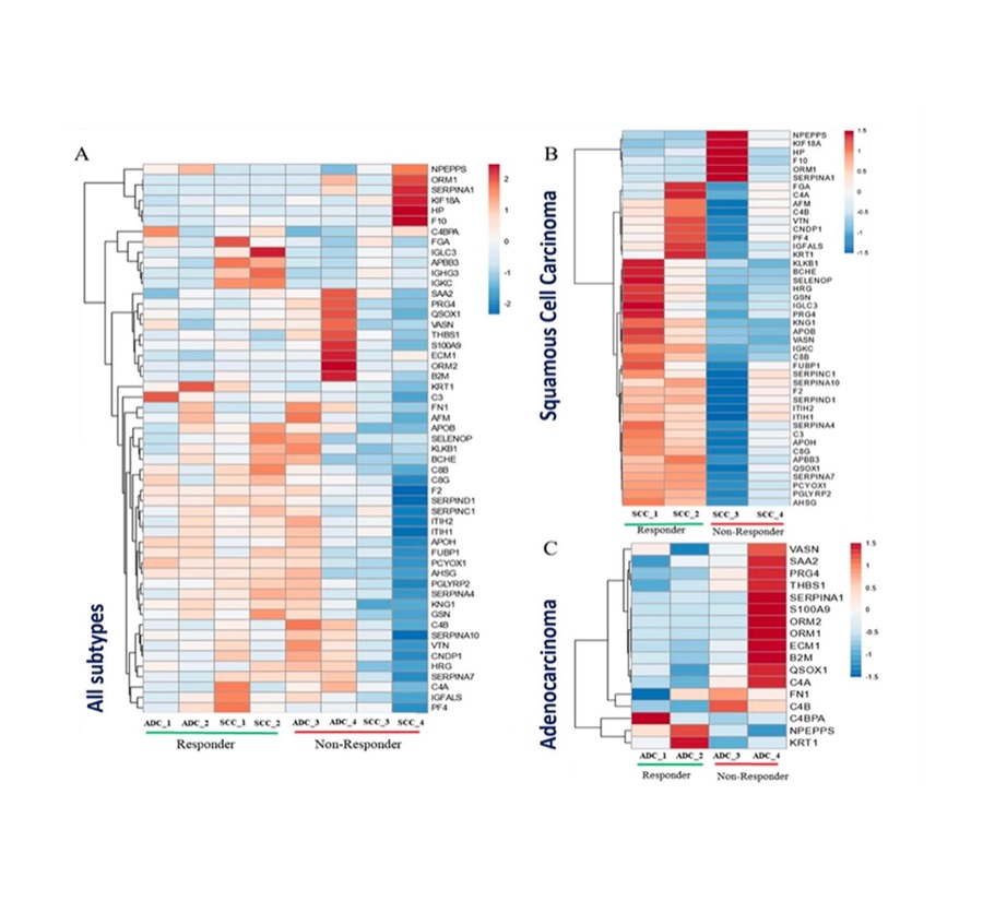 Hierarchical clustering heatmaps comparing responder and non-responder serum proteomic profiles in non-small cell lung cancer subtypes.